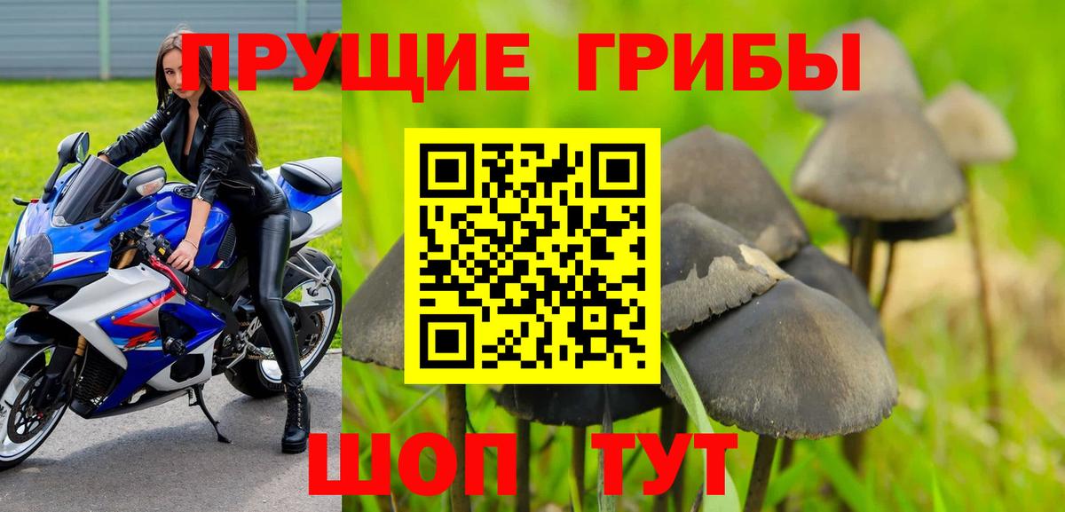 Галлюциногенные грибы MAGIC MUSHROOMS Волхов